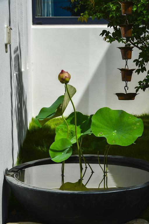 Begonia B&B T'ai-tung Exteriér fotografie